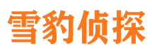 富民市调查公司